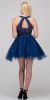 Lace High Neck Top Sheer Waist Babydoll Homecoming Dress in Navy